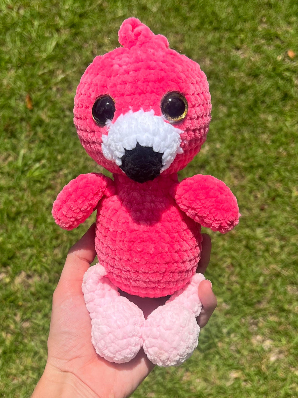 Flamingo