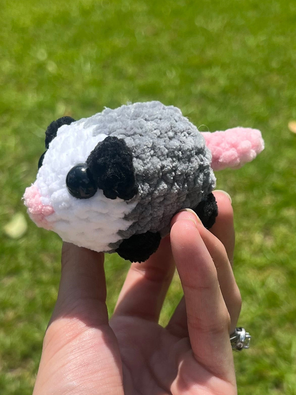 Baby Opossum