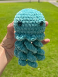 Jellyfish