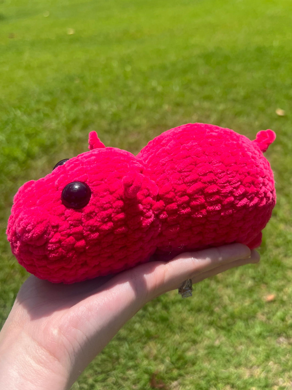 Hippo
