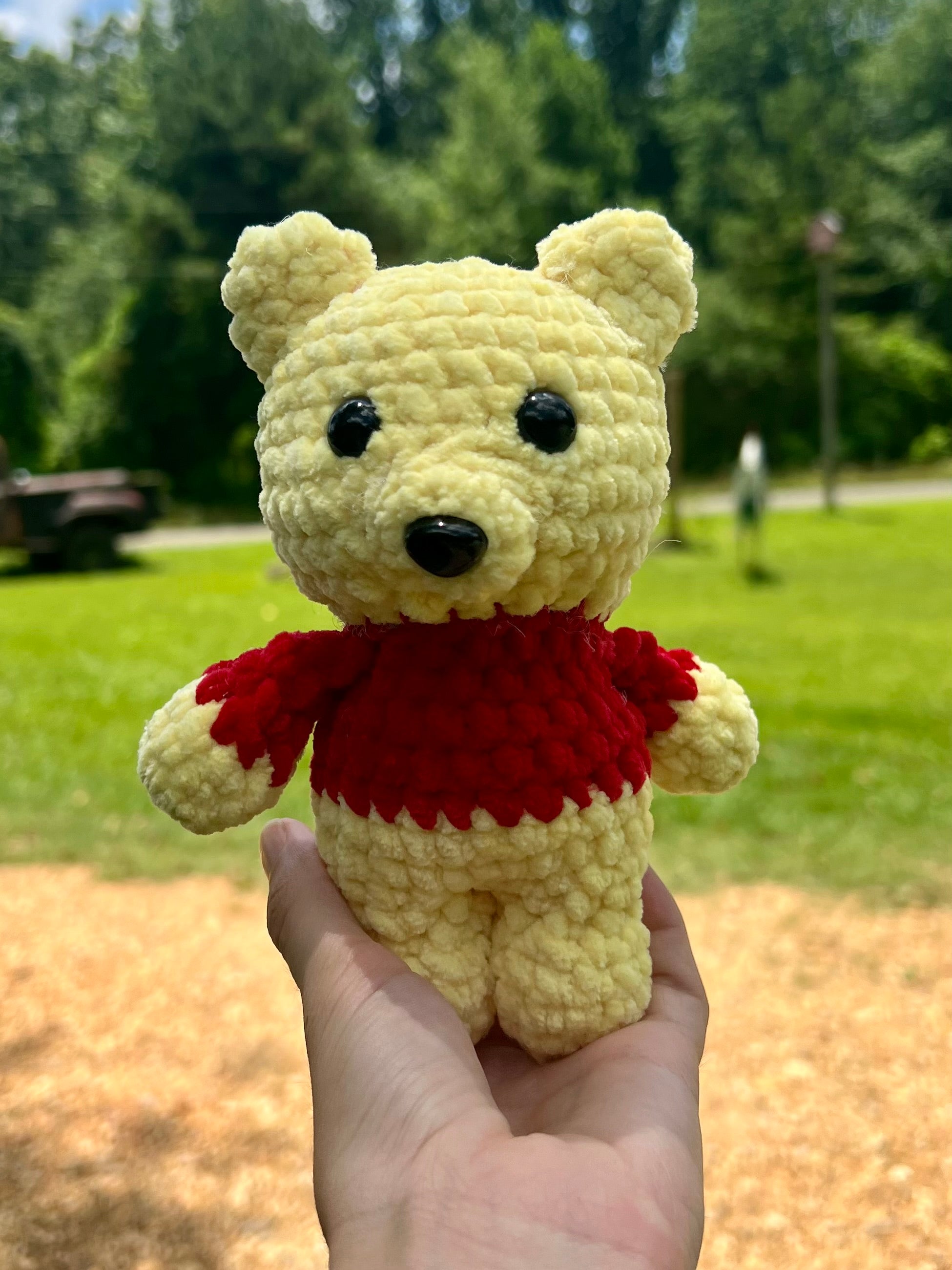 Bear in a Red Shirt