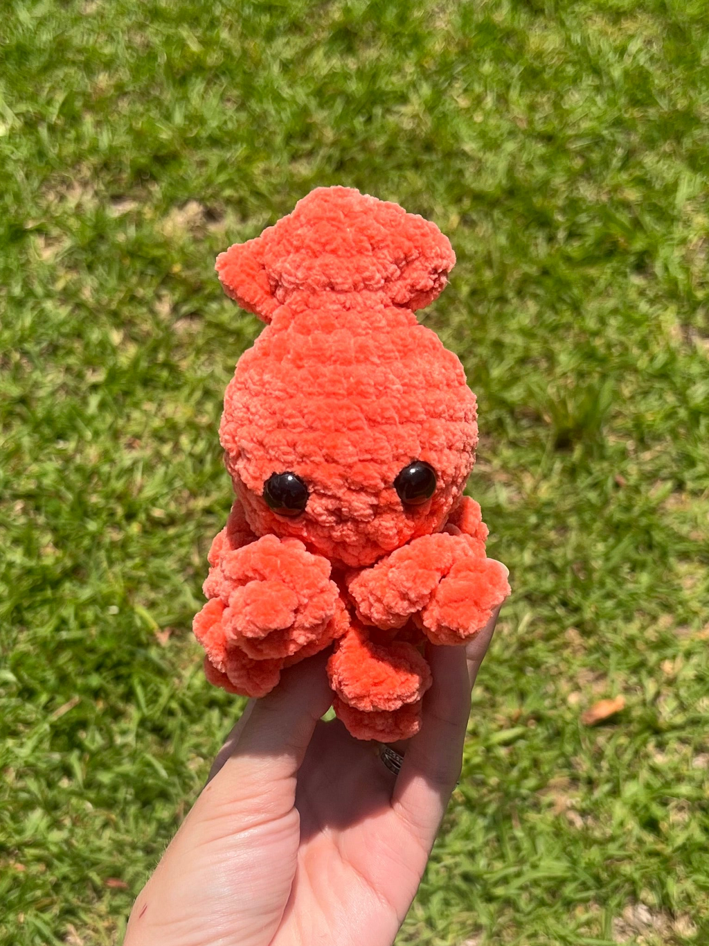 Baby Squids