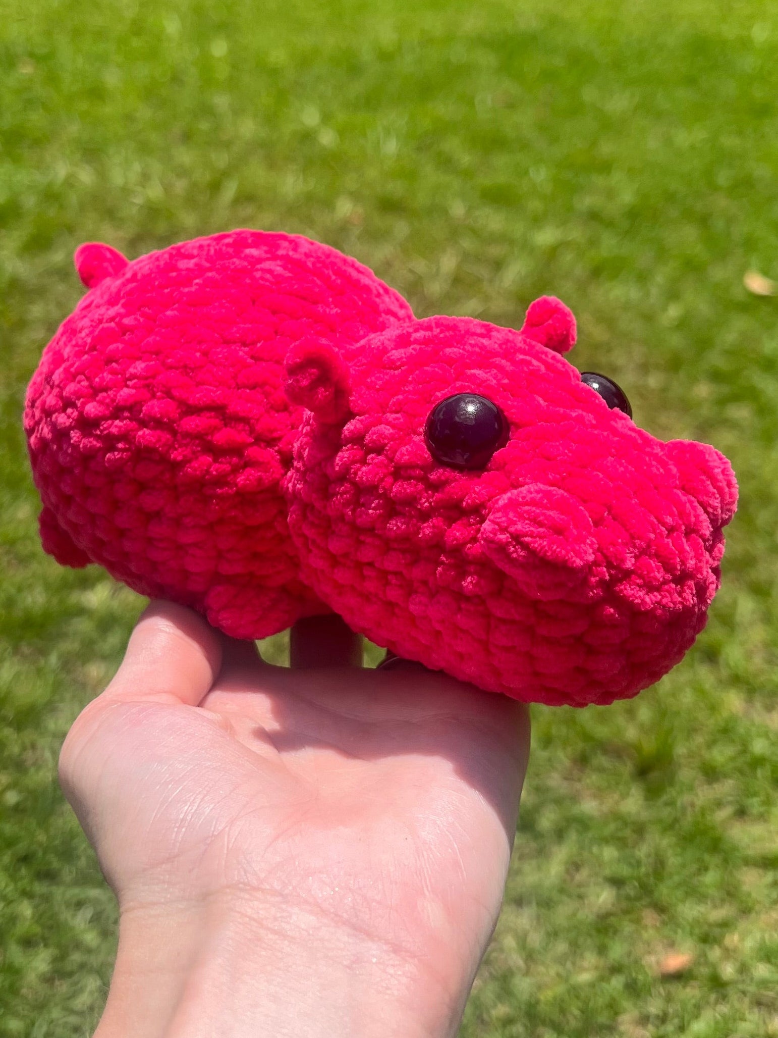 Hippo