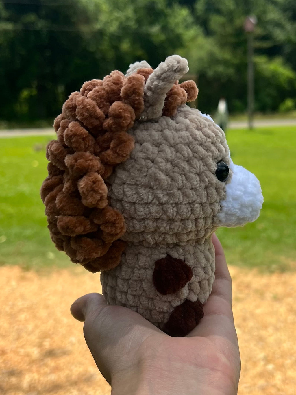Baby Horse