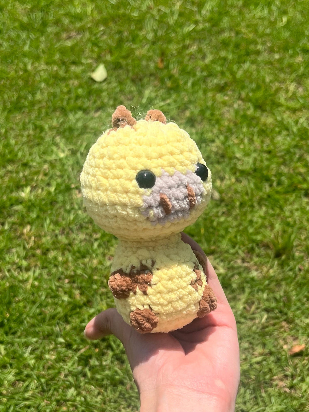Baby Giraffe