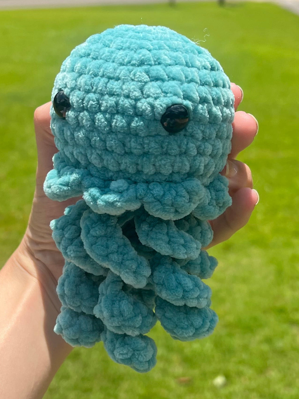 Jellyfish