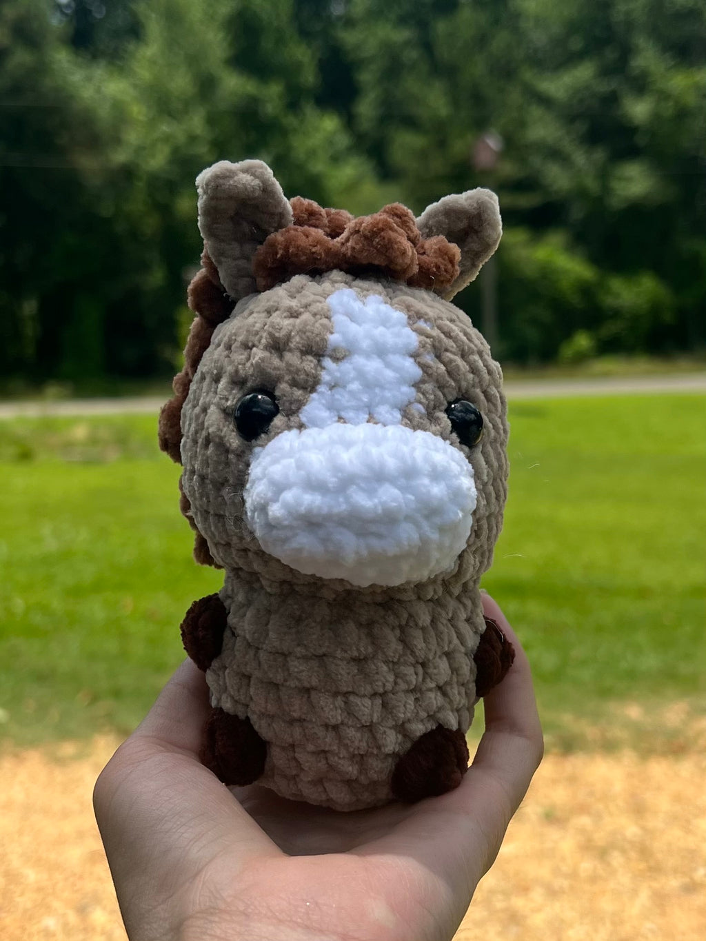 Baby Horse