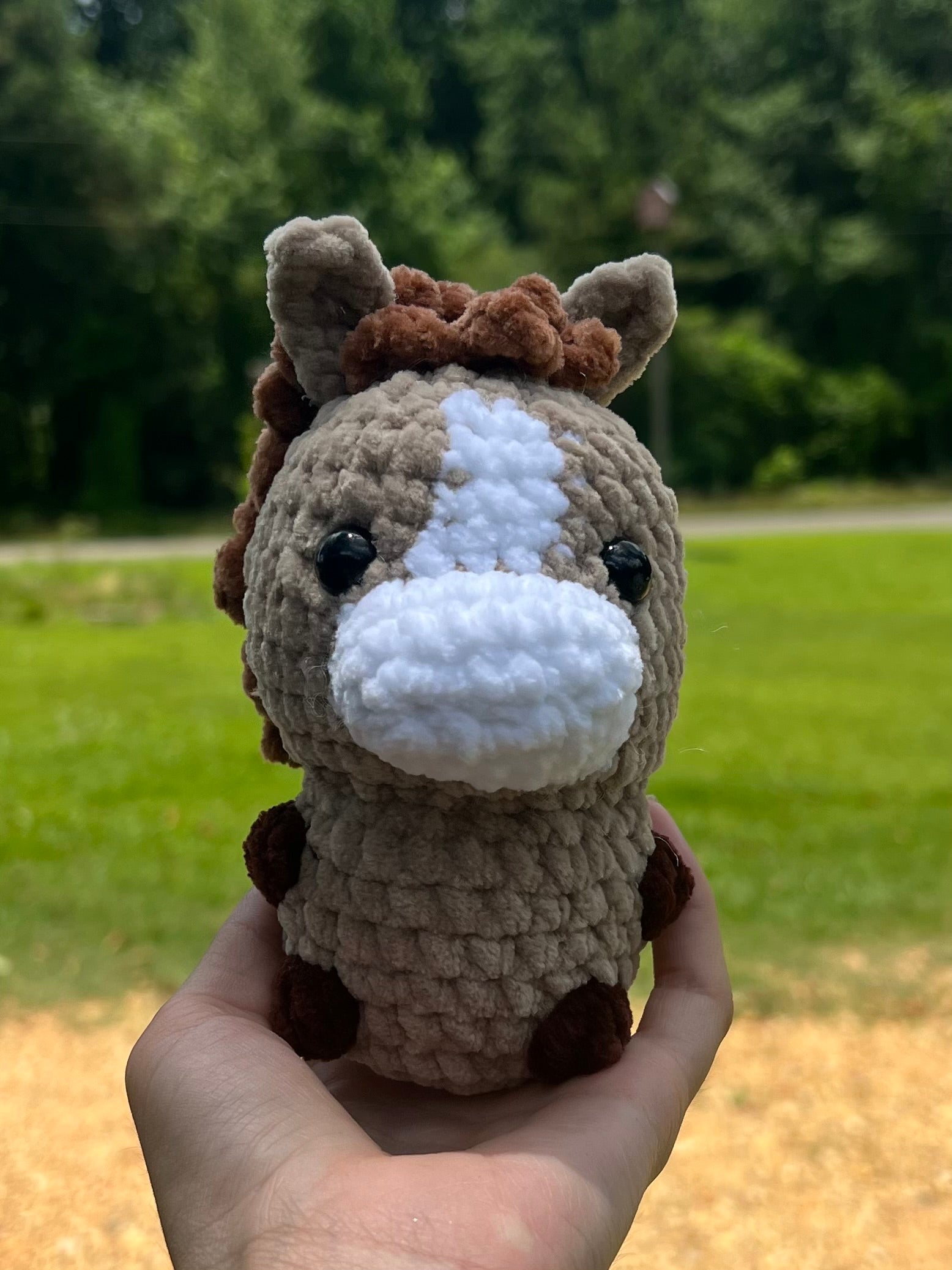 Baby Horse