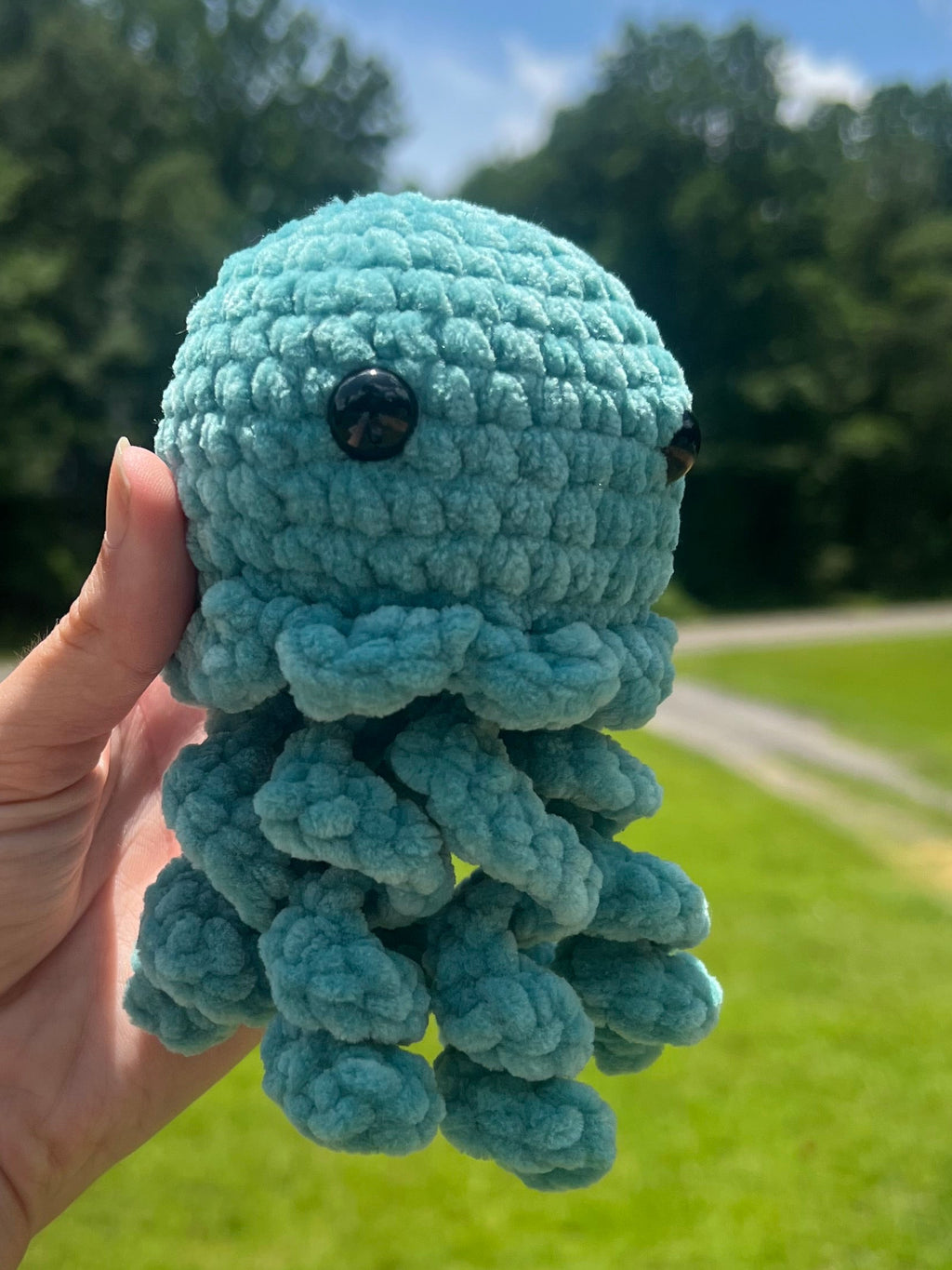 Jellyfish