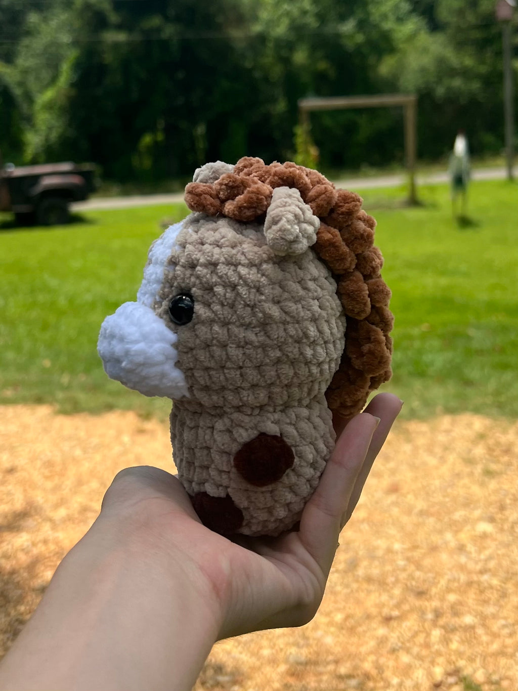 Baby Horse