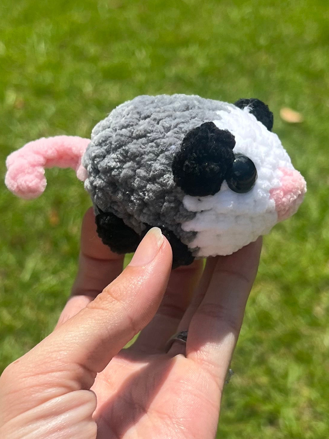 Baby Opossum