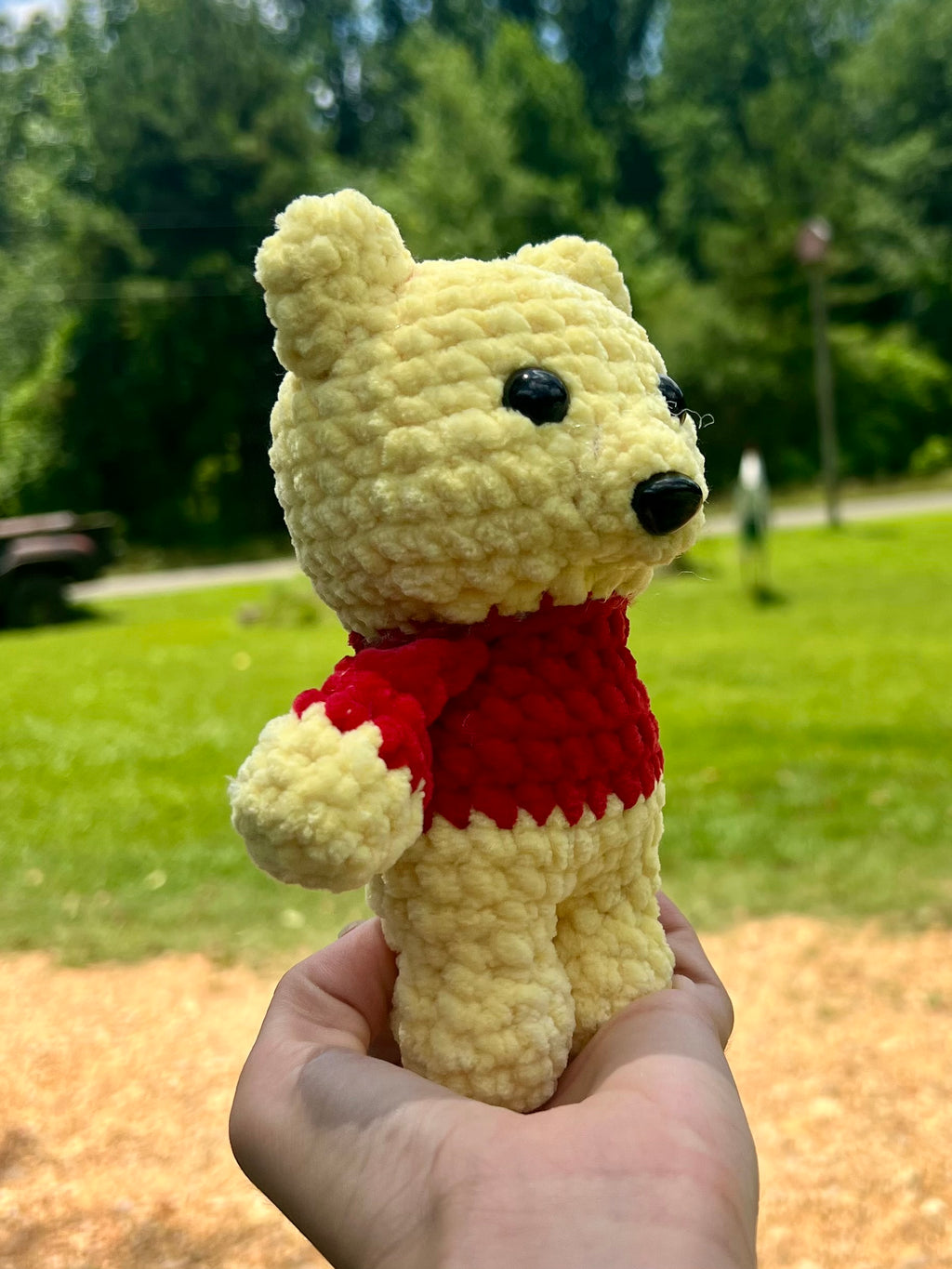 Bear in a Red Shirt