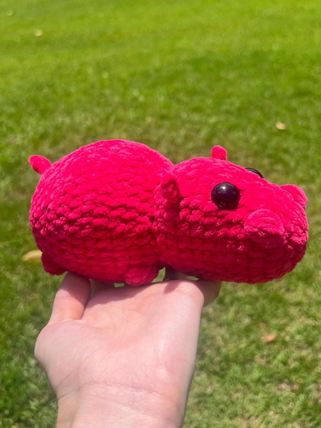 Hippo