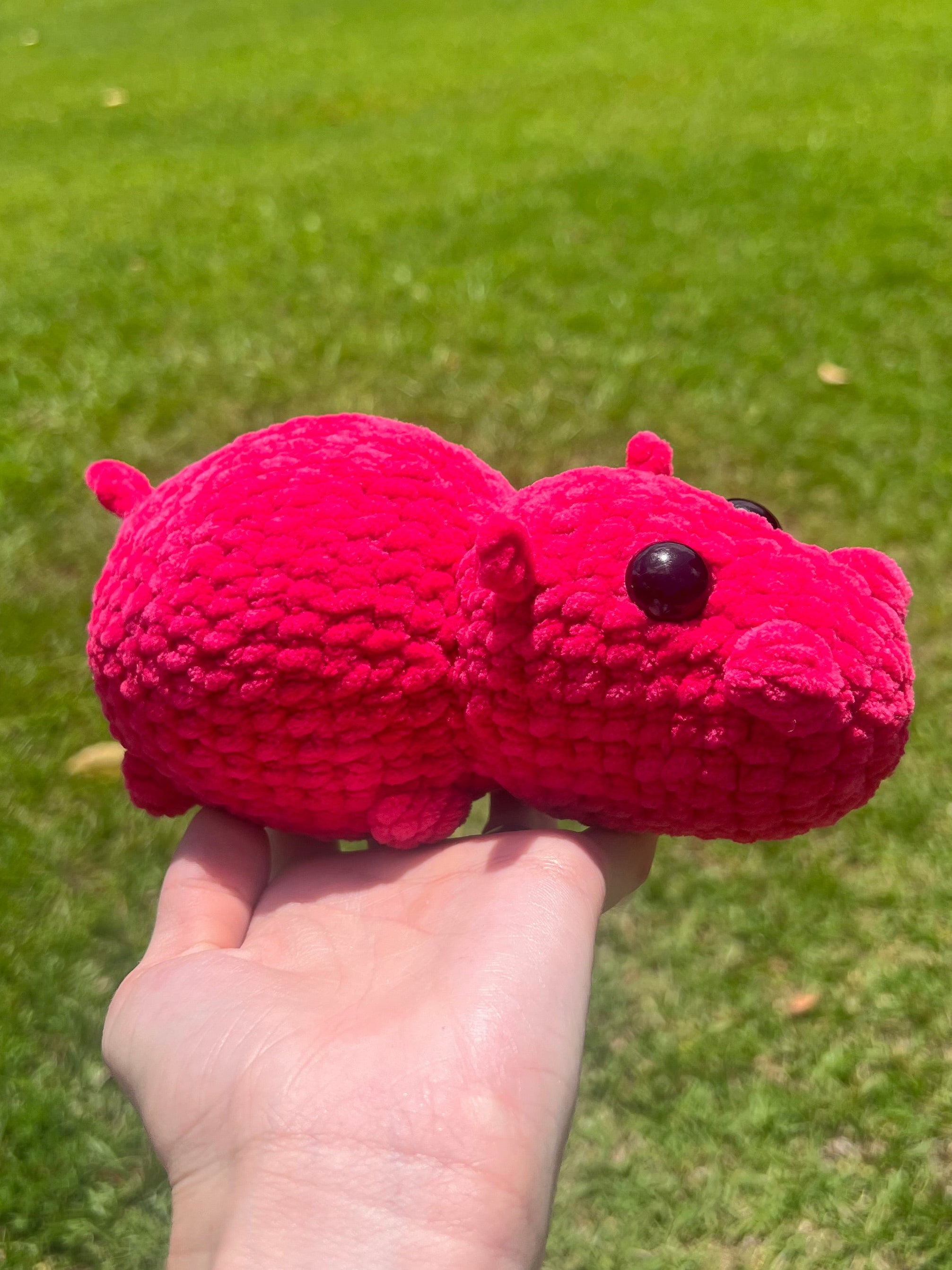 Hippo