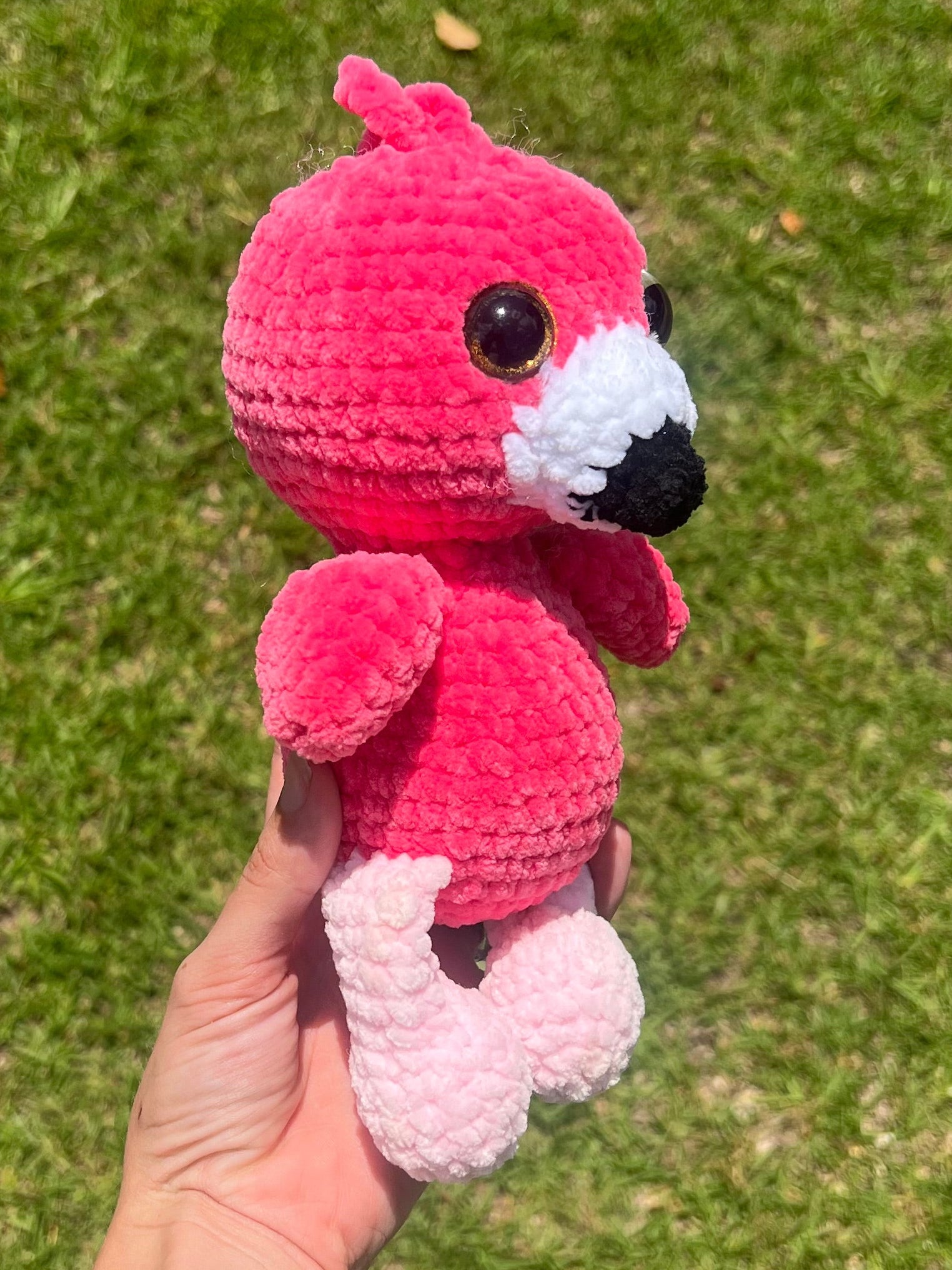 Flamingo
