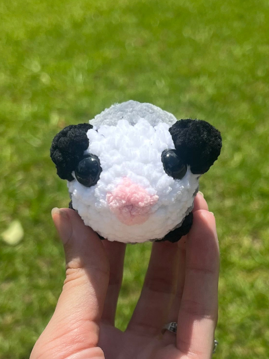 Baby Opossum