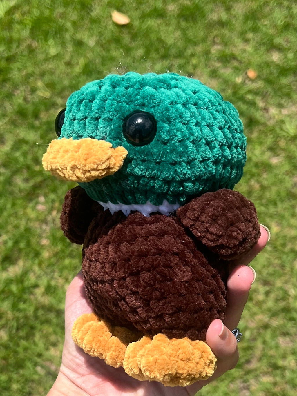 Mallard